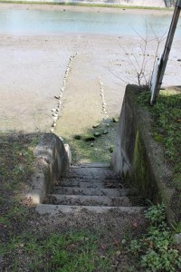 img_0895