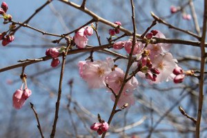 img_09212