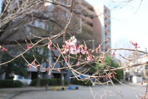 img_0925