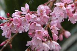img_0977