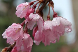 img_0987