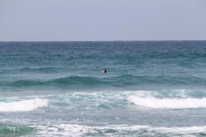 img_1349