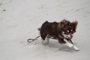 img_14161