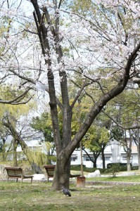 img_15811
