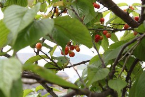 img_2925