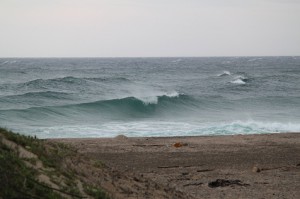 img_3066