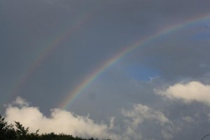 img_6281
