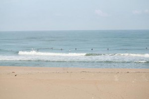 img_6367