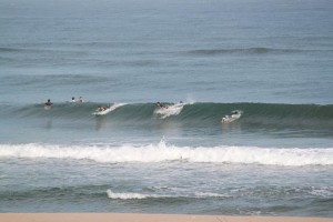 img_6369