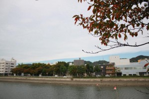 img_7061