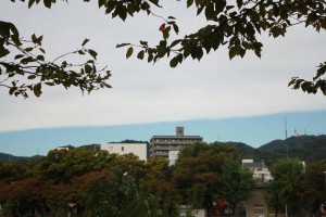 img_7069