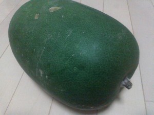 d1010074