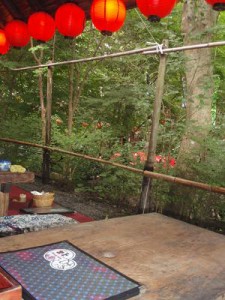 p7250588