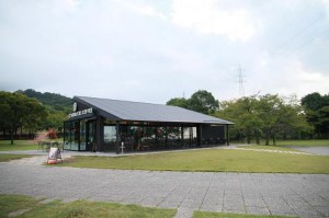 img_1696