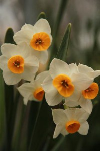 img_3531