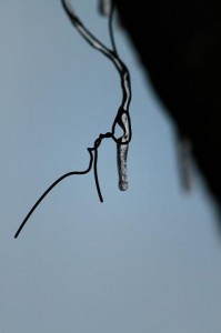 img_3629