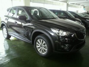p1020420