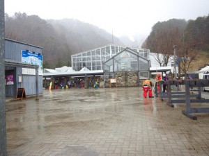 cai_0139