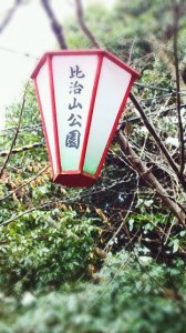 cai_0146
