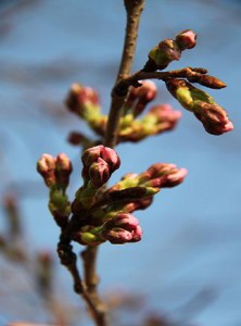 img_3064