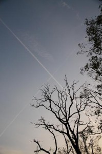 img_3520