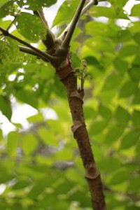 img_4858