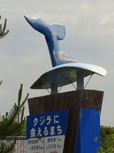 cai_5155