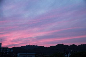 img_5574