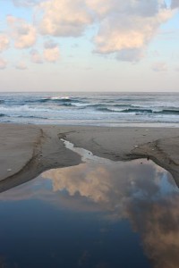 img_7514