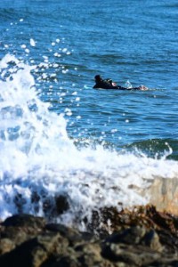 img_7565