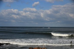 img_8176