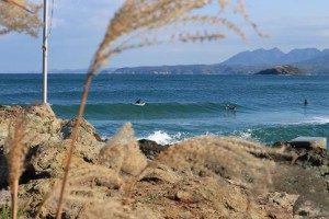 img_8264