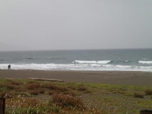 p51902271