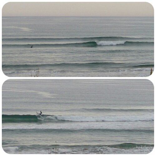 collage_20150608124451539.jpg image