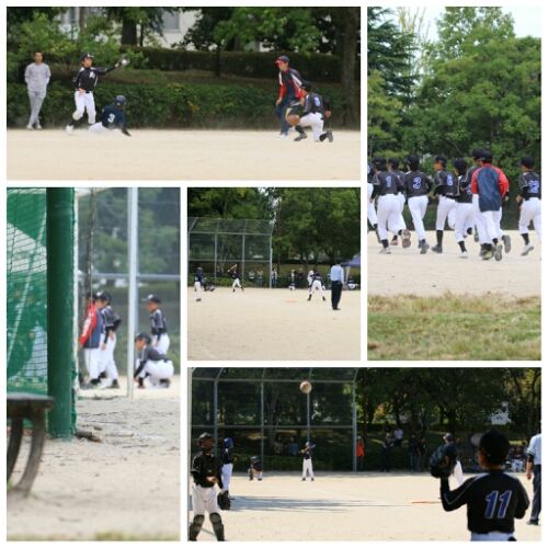 collage_20151012171352529.jpg image