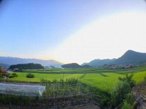 image6